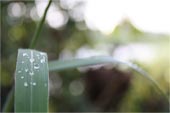 短信轰在线轰炸免费下载